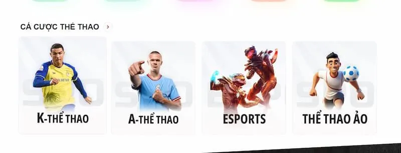 Khám phá sảnh cá cược thể thao May88